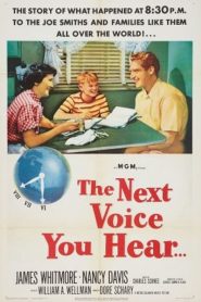 The Next Voice You Hear….