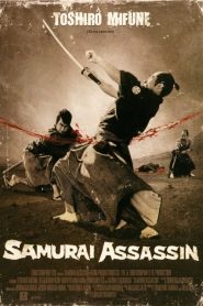 Samurai Assassin